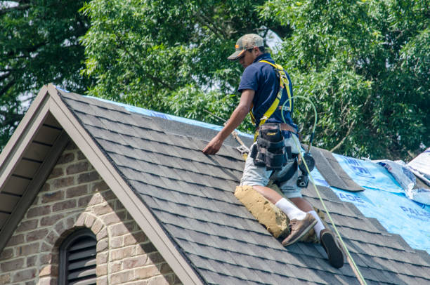 Best Storm Damage Roof Repair  in De Pere, WI